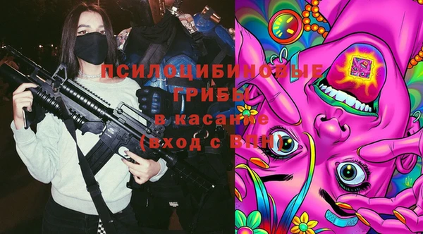 стафф Алзамай