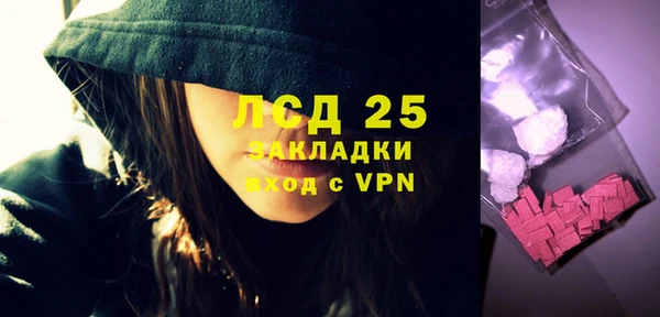 стафф Алзамай