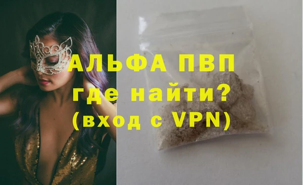 стафф Алзамай