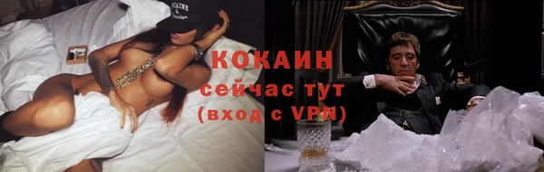 стафф Алзамай