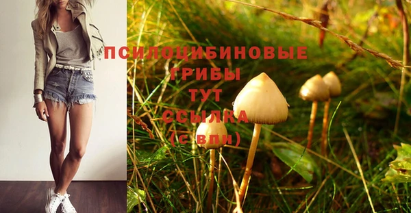 стафф Алзамай