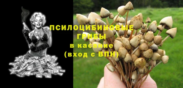 стафф Алзамай